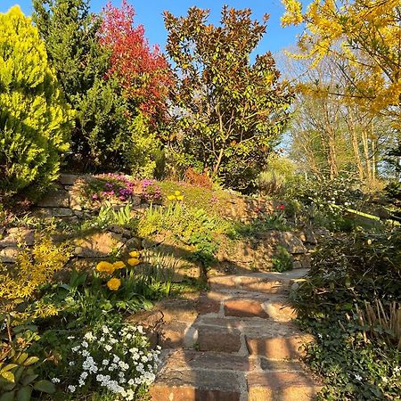 Am Berggarten Heidelberg Dış mekan fotoğraf