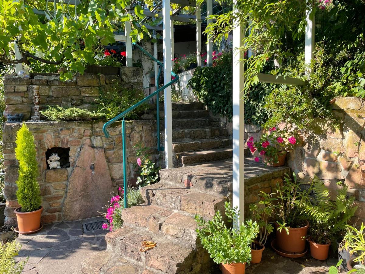 Am Berggarten Heidelberg Dış mekan fotoğraf