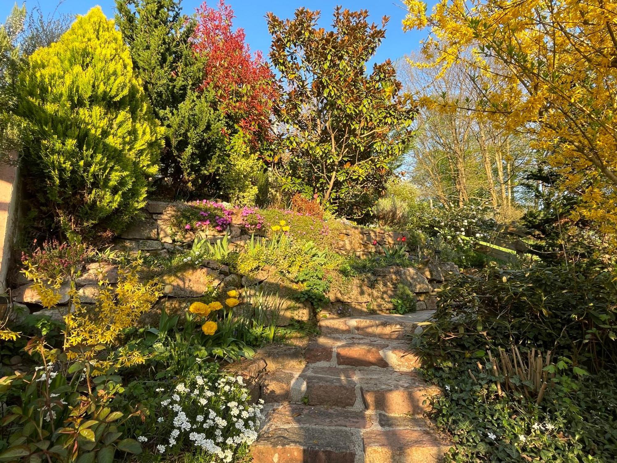 Am Berggarten Heidelberg Dış mekan fotoğraf
