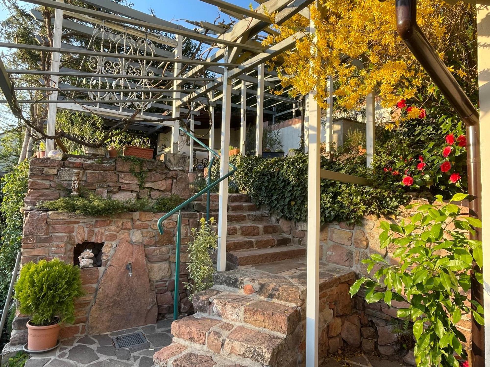 Am Berggarten Heidelberg Dış mekan fotoğraf