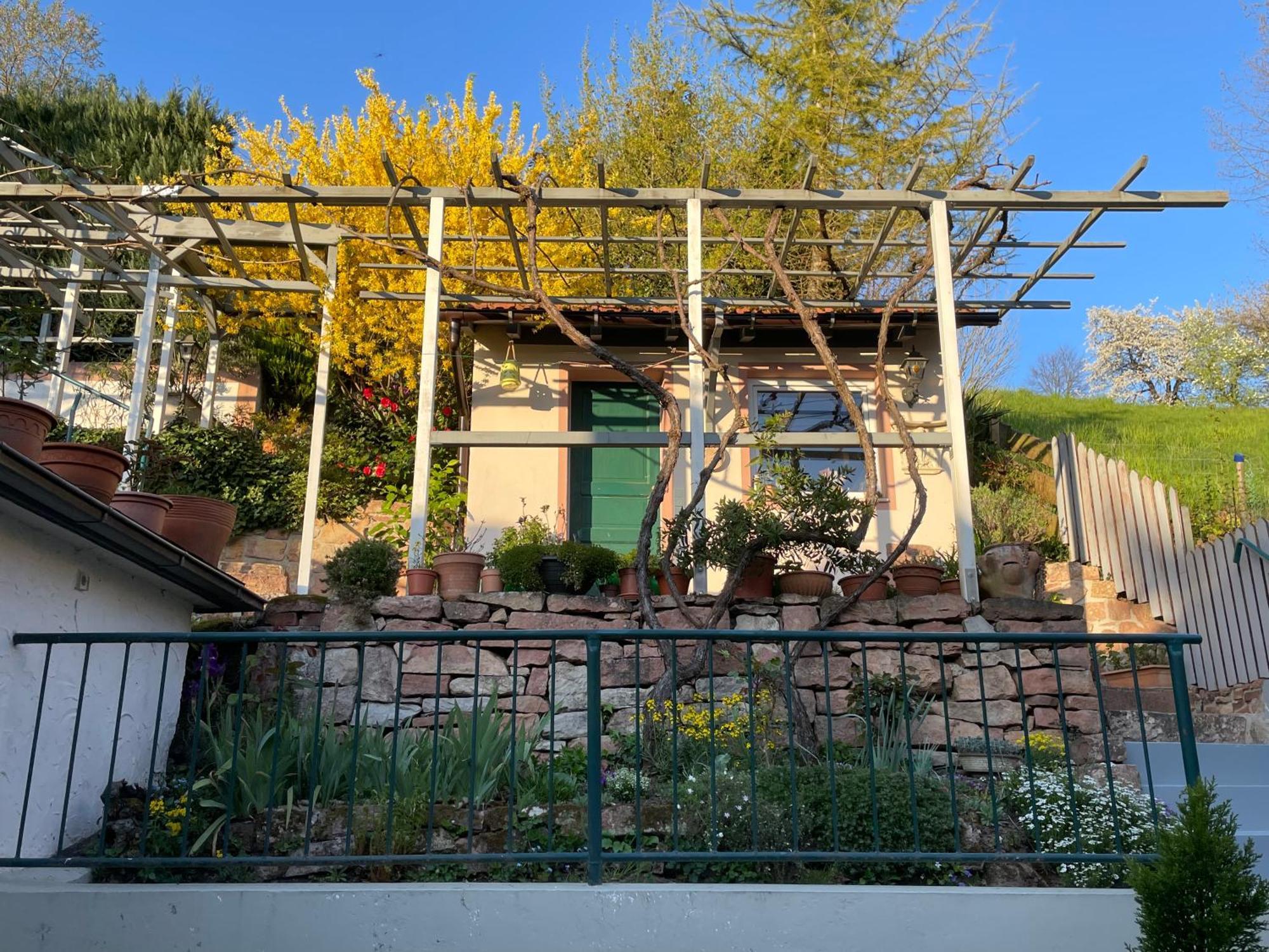 Am Berggarten Heidelberg Dış mekan fotoğraf