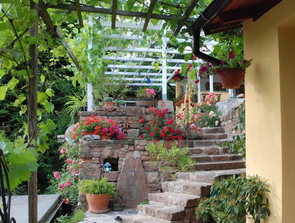 Am Berggarten Heidelberg Dış mekan fotoğraf