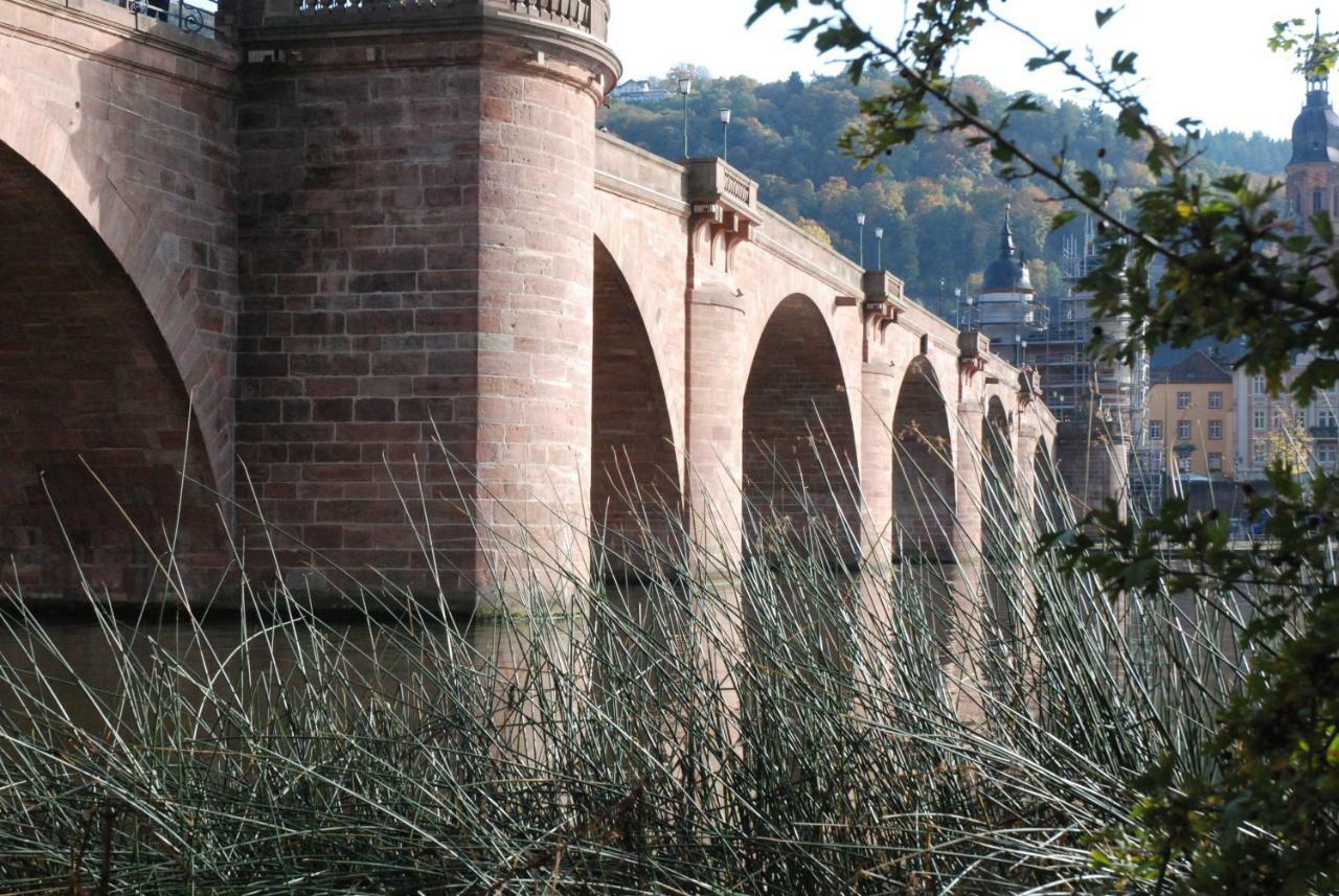 Am Berggarten Heidelberg Dış mekan fotoğraf