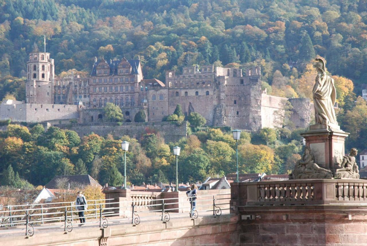 Am Berggarten Heidelberg Dış mekan fotoğraf