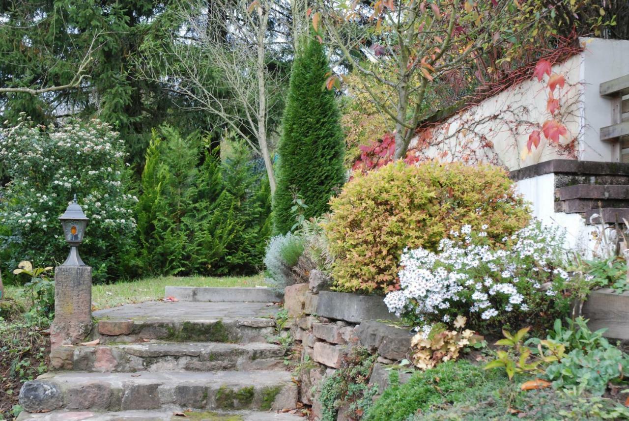 Am Berggarten Heidelberg Dış mekan fotoğraf