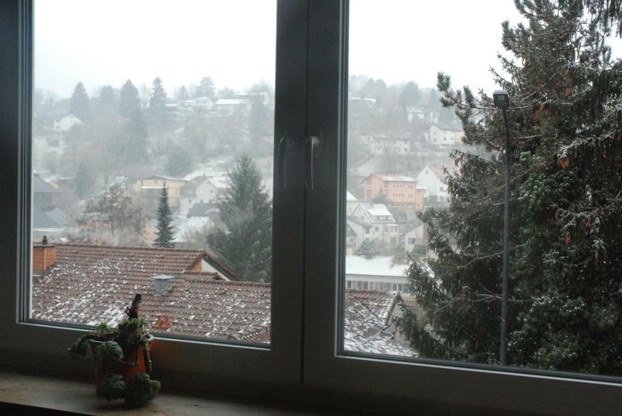 Am Berggarten Heidelberg Dış mekan fotoğraf