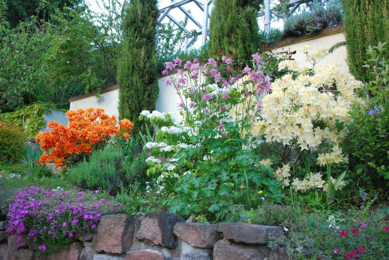 Am Berggarten Heidelberg Dış mekan fotoğraf