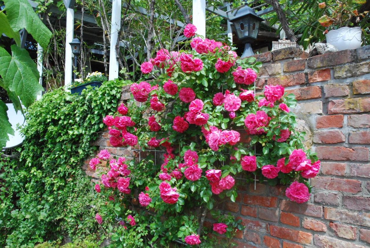 Am Berggarten Heidelberg Dış mekan fotoğraf